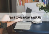 何宝宏区块链公司[何宝宽简历]